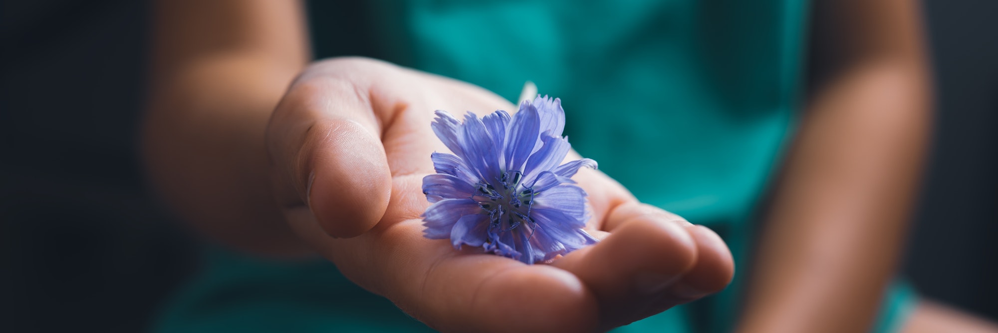 Childs Hand Holding Delicate Purple Blossom.jpg